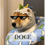 DΟGE
