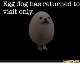 Eggy!  (CHP 1)