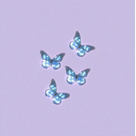 Bᴜᴛᴛᴇʀғʟʏ ᴀʀᴍʏ’s ɢʀᴏᴜᴘ