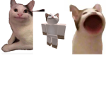 ThePopCatCult