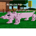 Jolly Blox Foundation