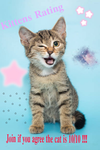 + Kittens Rating +