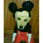 Minnie’s Clubhouse