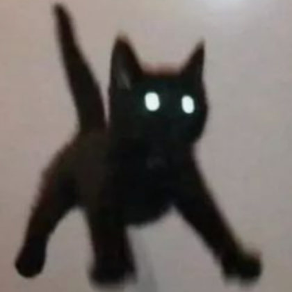cat Roblox decal