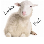 Lamb Kai