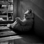 Reira Ne ira li agos Group Thumbnail
