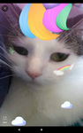 UniKat