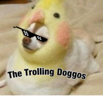 The Trolling Doggos
