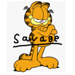 Certified garfield group