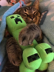 Creeper Cat Games