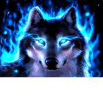 Shadow Wolf Studos
