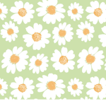 Daisy Squad125