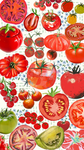 TomatoGang