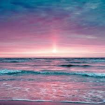 Pink Ocean
