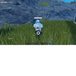 raceing game
