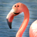 FLAMINGOS UNITE.