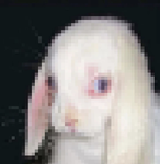 porc3lain