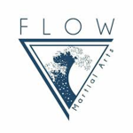 Flow Karate