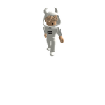 SLENDER TEEM