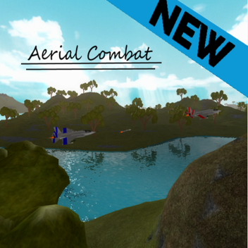 Aerial Combat