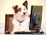 Disney's Dog With A Blog