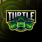 The Mini Turtle Squad