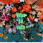 viba la vida'