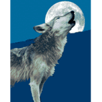 RobuxWolfSquad