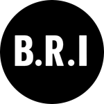 Team B.R.I
