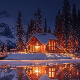 Cabin and Chill