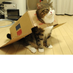Cats Team <<:3