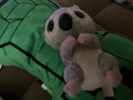 Koalas slays