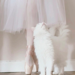 ୨୧