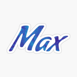 Gamer Max’s group