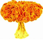 Portal's Pogger Group