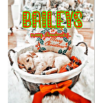 Bailey Preppy Strawberries