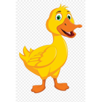 Duckie Development
