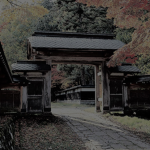~ Kitsune Mountain ~