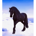 -The Royal Riding Academy-
