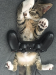 Buyer For Any Game <3