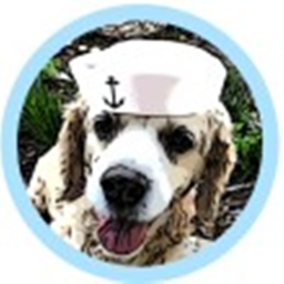 The BeachDog Beach Grill