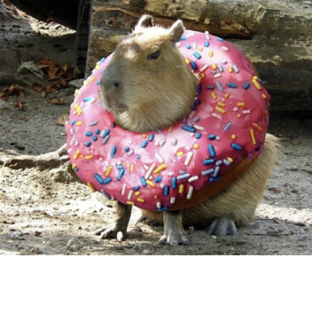 The LeaderBoard Lounge.