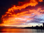 N I G H T W A L K E R S