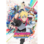 NARUTO: BARUTO NARUTO THE NEXT GENERATIONS
