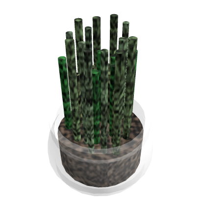 Aesthetic Potted Grass Plant in Glass Pot