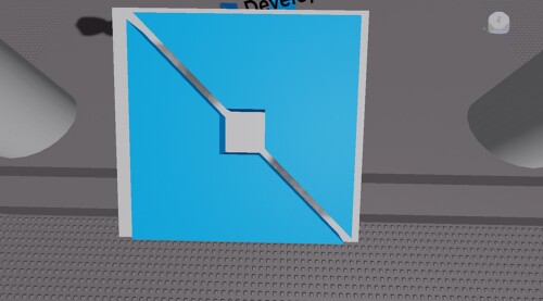 Developer