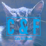 Cats N Friends