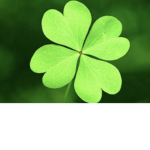 Clover Leaves
