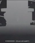 echo community