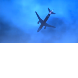 Air Asia Flight 8501 SURVIVE